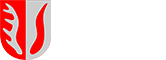 Herb Gmina Orchowo